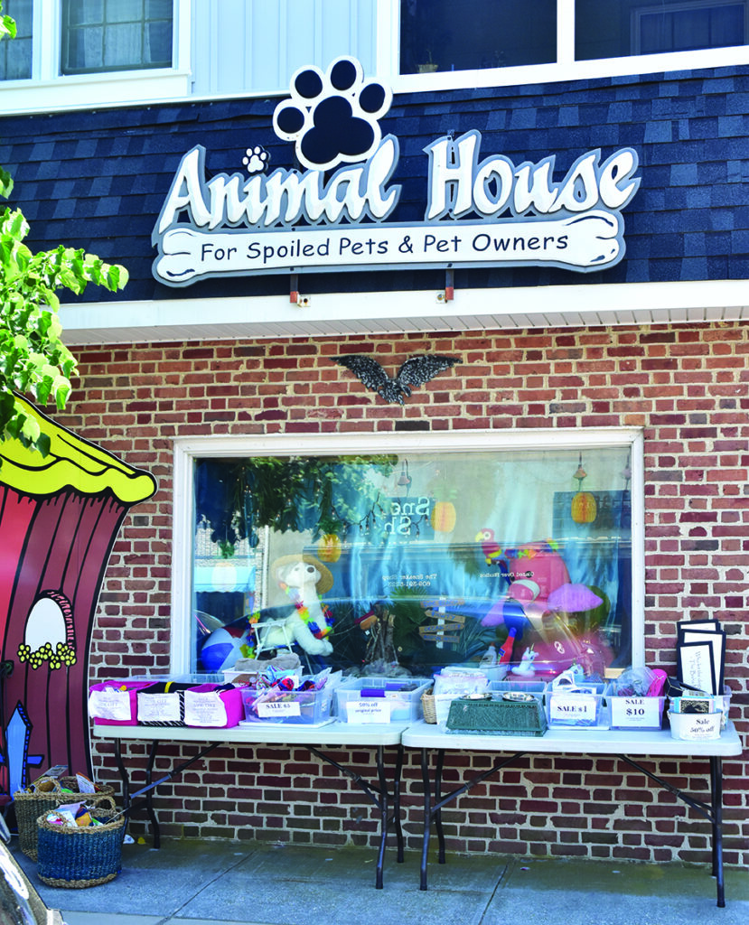 The animal outlet house pet store